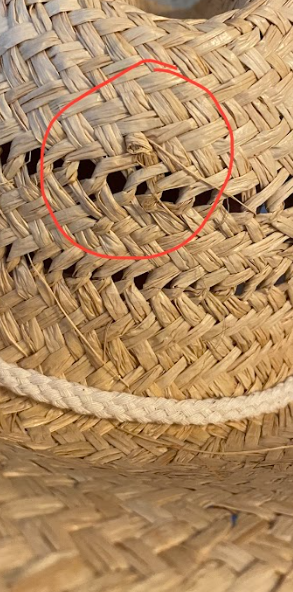 Lack of Color - The Vista Hat - Women's |-| Lack of Color - Chapeau The Vista - Femme