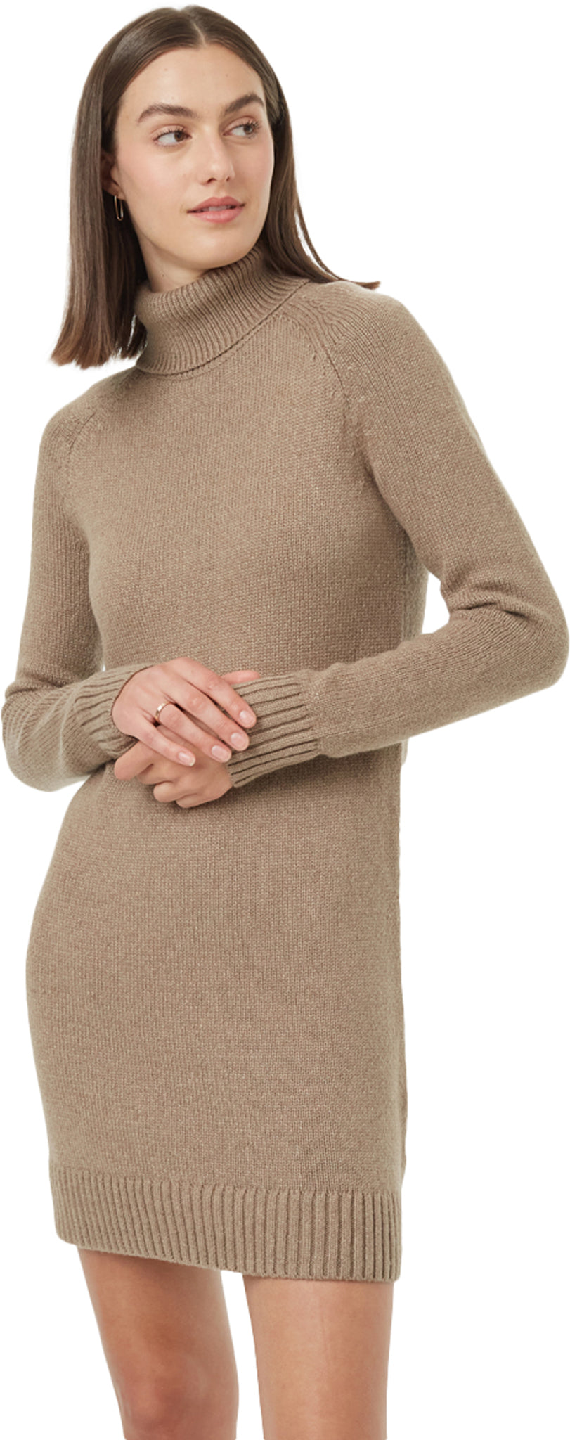 tentree - Highline Turtleneck Dress - Women's |-| tentree - Robe à col roulé Highline - Femme